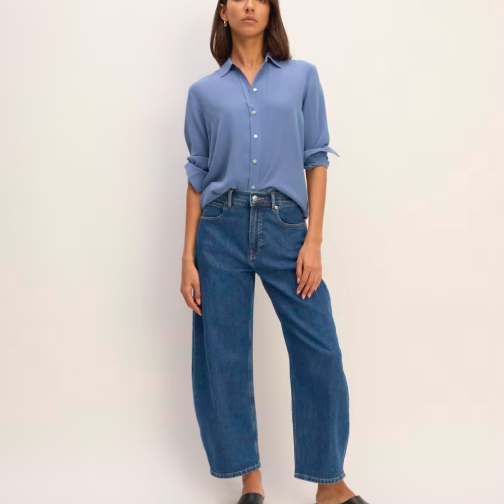 Everlane Blue Button Down Shirt Top